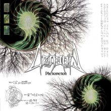 1. Phenomenon