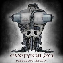 1. Dissected Entity