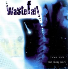 1. Fallen Stars And Rising Scars