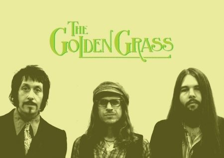golden-grass_vice_670