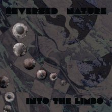 3. Into The Limbo