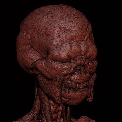 0005012275_10